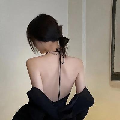 美国谍梦第五季